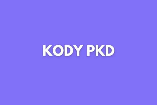 Jakie PKD sprzedaż internetowa - uniknij błędów w rejestracji Jakie PKD sprzedaż internetowa - uniknij błędów w rejestracji
